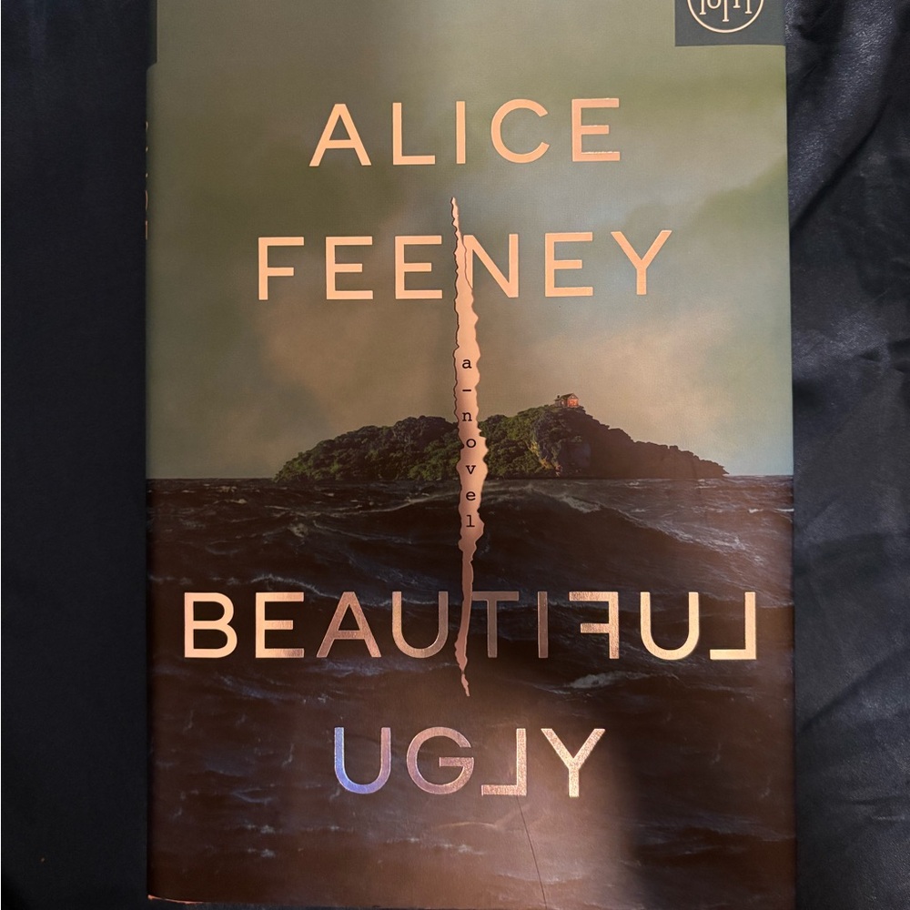 Alice Feeney 'Beautifully Foolish Endeavor' Book